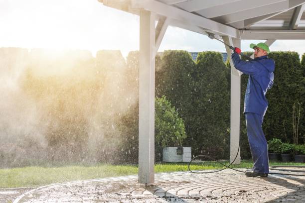 Best Boat and Dock Cleaning  in Sho Creek, AL